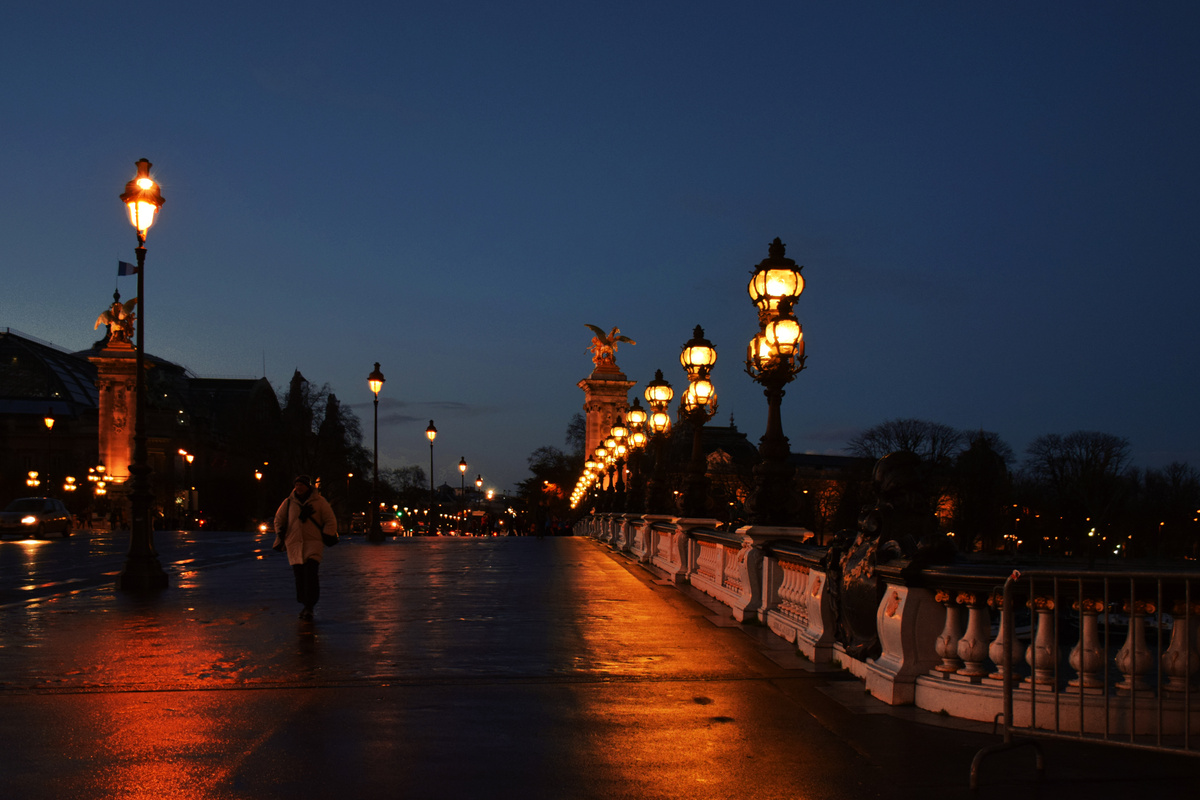 Landscape Photography of the Pont Alexandre III